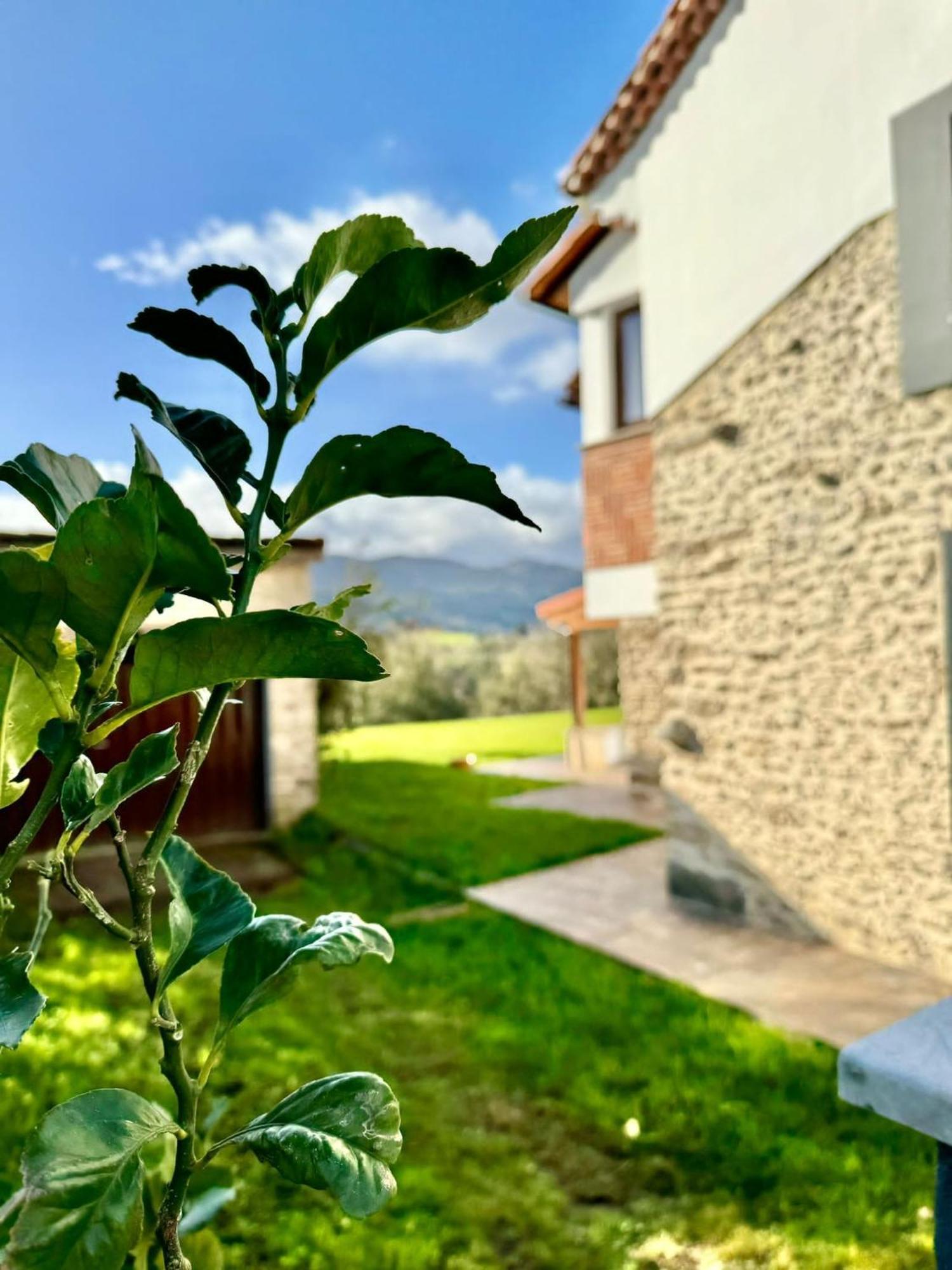 Terradeva Apartamentos Colombres Bagian luar foto